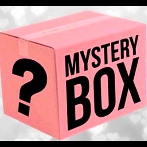 Torrid Mystery Box 🛍